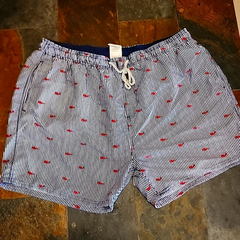 Men's XL Exist Swim Trunks Whales Stripes